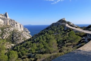 From Marseille: Calanques National Park Guided Hike