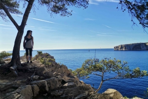 From Marseille: Calanques National Park Guided Hike