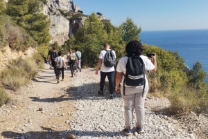 From Marseille: Calanques National Park Guided Hike