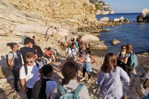 From Marseille: Calanques National Park Guided Hike