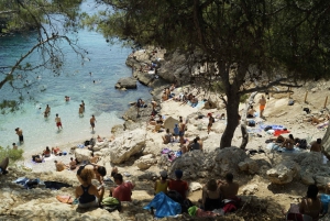 From Marseille: Calanques National Park Guided Hike