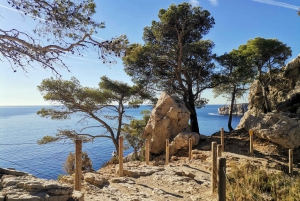 From Marseille: Calanques National Park Guided Hike