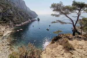 From Marseille: Calanques National Park Guided Hike