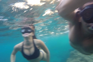 From Marseille: Calanques National Park Guided Hike