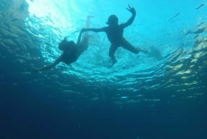 From Marseille: Calanques National Park Guided Hike