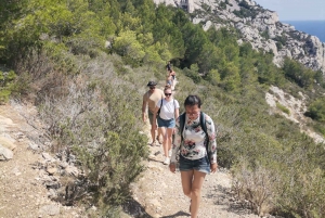 From Marseille: Calanques National Park Guided Hike