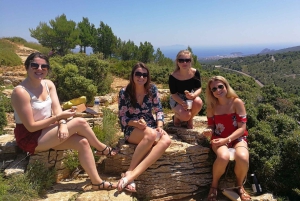 From Marseille: Cassis 4 hours