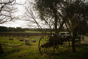 From Marseille: Customizable Private Day Tour of Provence