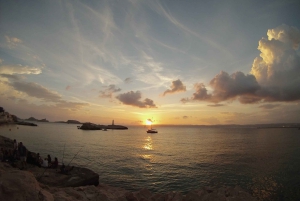 From Marseille: Customizable Private Day Tour of Provence