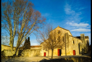 From Marseille: Customizable Private Day Tour of Provence