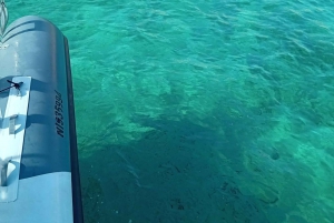 Marseille: Frioul Islands Adventure