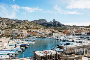 From Marseille: Guided E-Bike Tour to Calanque de Sormiou