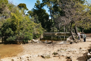 From Marseille: Guided E-Bike Tour to Calanque de Sormiou