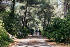 From Marseille: Guided E-Bike Tour to Calanque de Sormiou