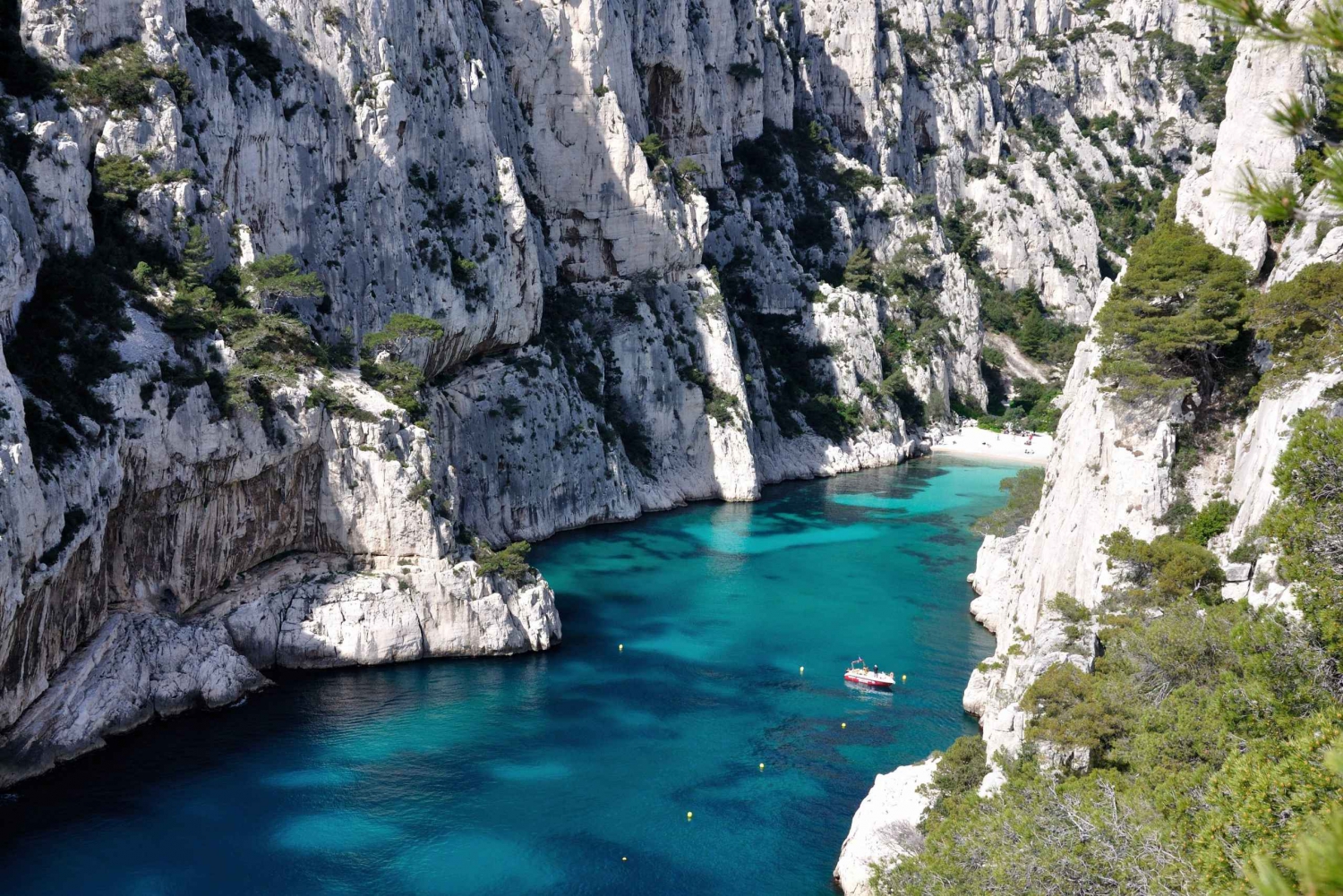 From Marseille: Iconic Calanques Boat Tour with Swimming