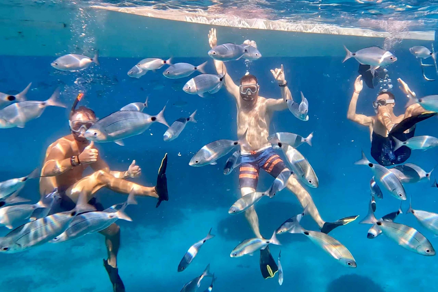 From Marseille: Iconic Calanques Boat Tour with Swimming
