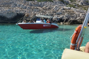 From Marseille: Iconic Calanques Boat Tour with Swimming