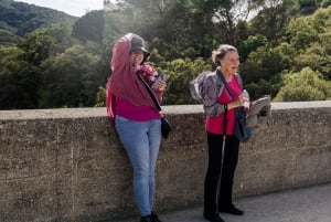 From Marseille: Provence Sightseeing Tour and Wine Tasting