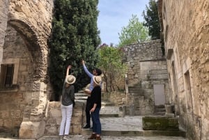 From Marseille: Provence Sightseeing Tour and Wine Tasting