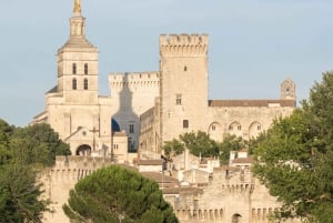 From Marseille: Provence Sightseeing Tour and Wine Tasting