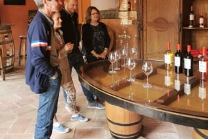 From Marseille : Sidecar Wine Tour to Cassis and Bandol