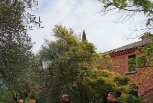 From Marseille : Sidecar Wine Tour to Cassis and Bandol