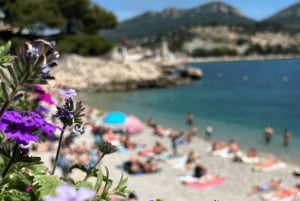 From Marseille to Cassis: a journey to the heart of the calanques and traditions.