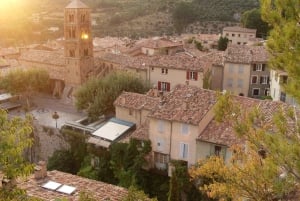 From Marseille: Valensole Lavender Full-Day tour