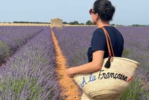 From Marseille: Valensole Lavender Full-Day tour