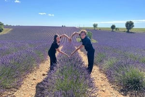 From Marseille: Valensole Lavender Full-Day tour