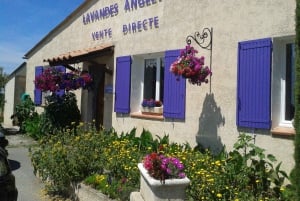 From Marseille: Valensole Lavenders Tour from Cruise Port