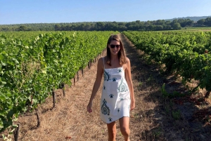 From Marseille: Wine and Scenery around Aix-en-Provence