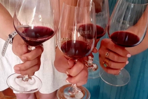 From Marseille: Wine and Scenery around Aix-en-Provence