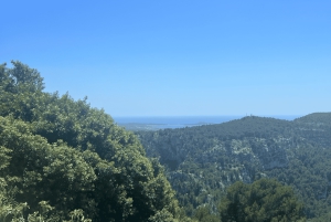 From medieval Evenos to Bandol wines : a taste of Provence