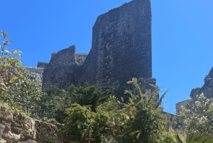 From medieval Evenos to Bandol wines : a taste of Provence