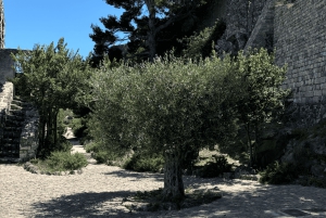 From medieval Evenos to Bandol wines : a taste of Provence