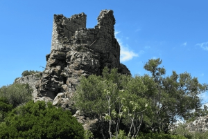 From medieval Evenos to Bandol wines : a taste of Provence