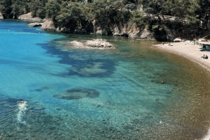 From medieval Evenos to Bandol wines : a taste of Provence