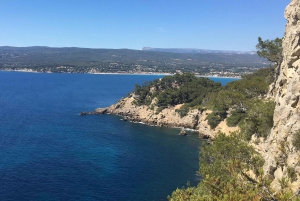From medieval Evenos to Bandol wines : a taste of Provence