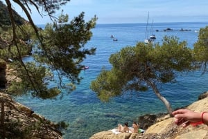 Full Day in Côte Bleue: Scenic Nature Walk and Boat Tour