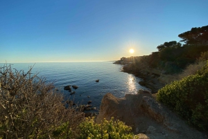 Full Day in Côte Bleue: Scenic Nature Walk and Boat Tour