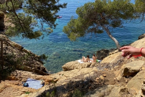 Full Day in Côte Bleue: Scenic Nature Walk and Boat Tour