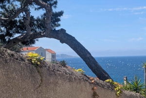 Guided Walk in beautiful and hidden neighborhoods