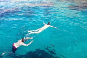 La Ciotat: Calanques Morning Boat Tour with Snorkeling
