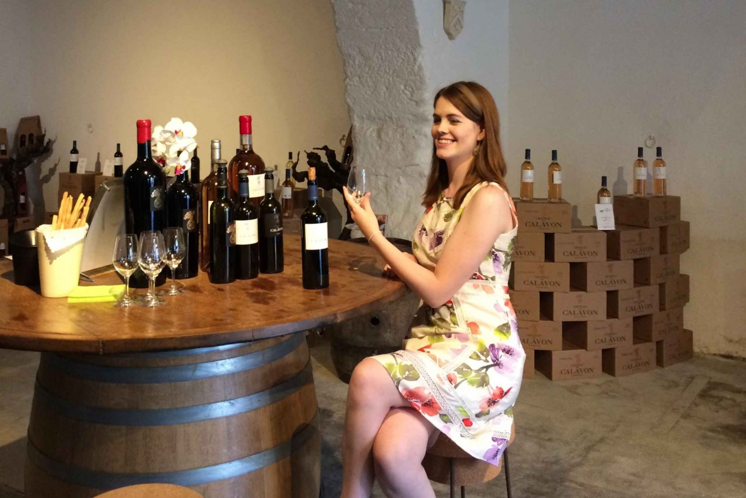 Luberon: Full-Day Wine Tour from Marseille