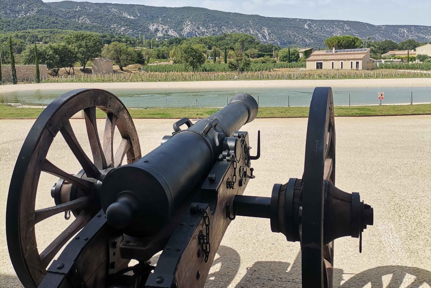 Luberon Wine and Charm: Explore the Flavors of the South