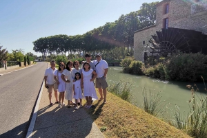 Luberon Wine and Charm: Explore the Flavors of the South