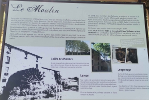 Luberon Wine and Charm: Explore the Flavors of the South