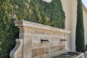 Luberon Wine and Charm: Explore the Flavors of the South