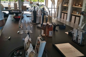 Luberon Wine and Charm: Explore the Flavors of the South